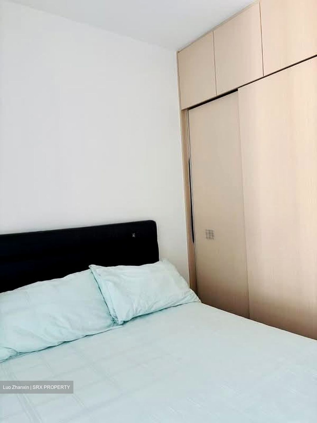 Parc Vera (D19), Condominium #529244721